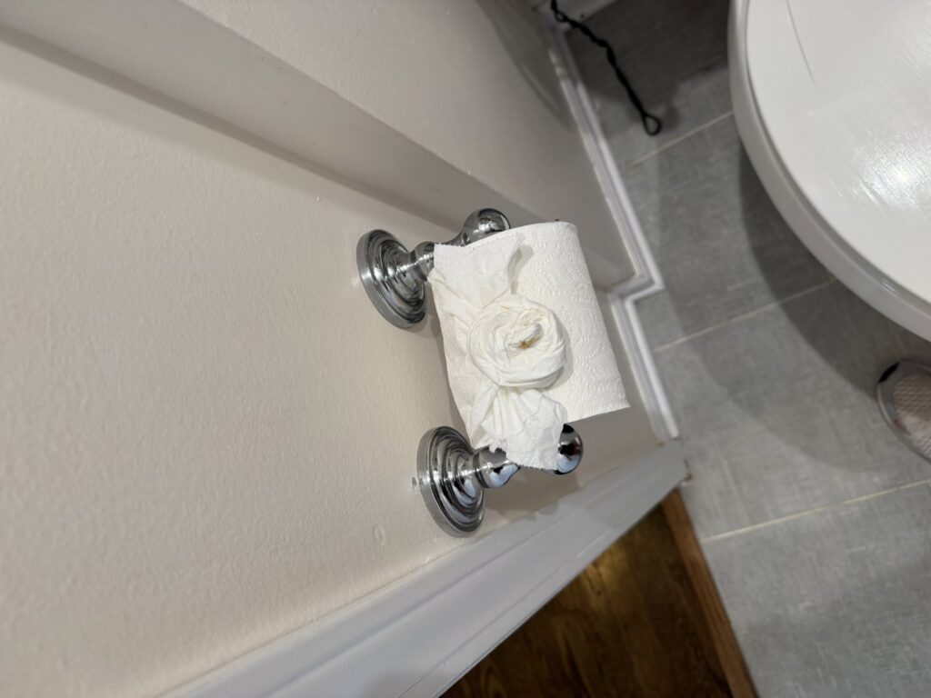 A toilet paper roll with a decorative fold, a signature touch from Messy To Clean in Aurora, IL.