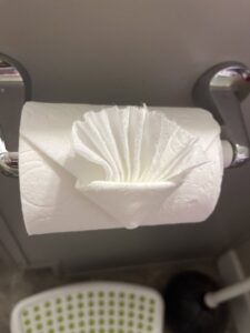 A toilet paper roll neatly folded in a decorative fan pattern, a detail often provided by The Cleaning Fairy in Fort Lauderdale, FL.