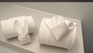 Two rolls of toilet paper decoratively folded, a detail provided by Touched By Kay Cleaning Services in Pittsburgh, PA.