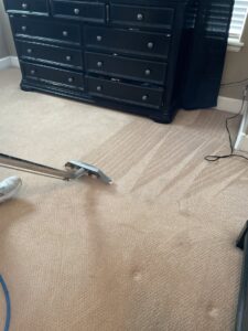 Deep carpet cleaning in progress, showing the effective removal of dirt by Happy Client Cleaning Services in Fort Collins, CO.