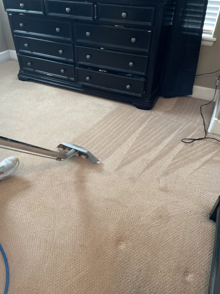 Deep carpet cleaning in progress, showing the effective removal of dirt by Happy Client Cleaning Services in Fort Collins, CO.