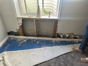 A demolished wall exposing studs and insulation after water damage, with carpet pulled back, by Idaho Disaster Pros in Idaho Falls, ID.