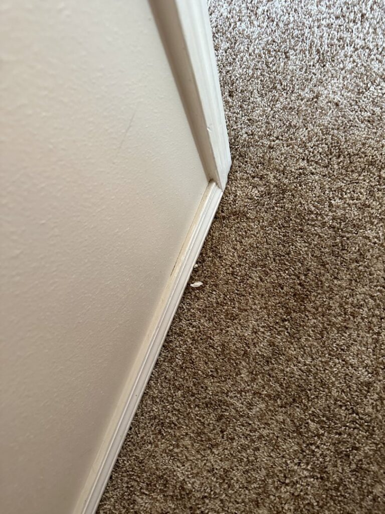 A dirty baseboard and carpet edge, showing dust and debris that Blubyrd Cleaning Service in Boise, ID can expertly clean.