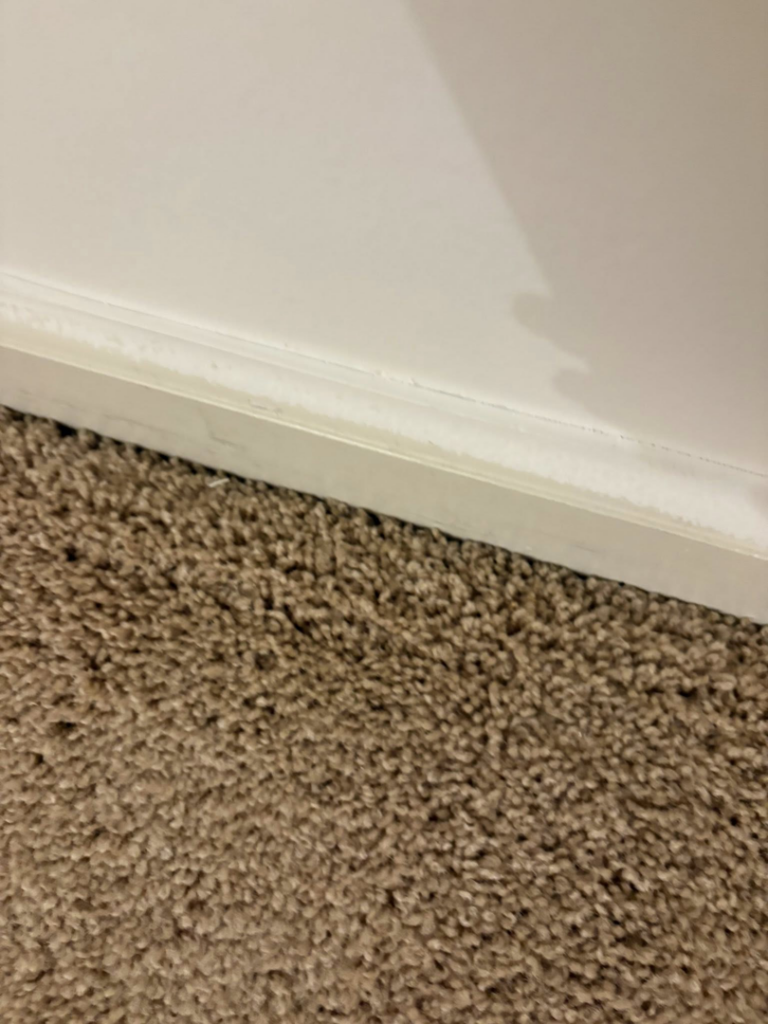 A dirty baseboard above a carpeted floor, ready for cleaning by Danielle's cleaning service in Xenia, OH