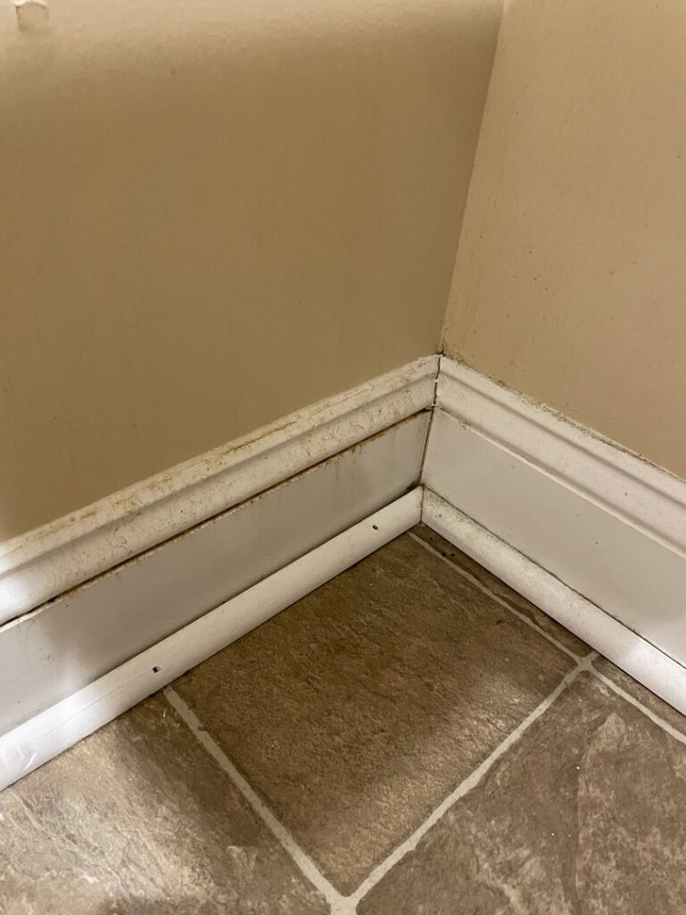A dirty baseboard in a residential room, indicating a need for detailed cleaning by Deep Cleaning Service in Frederick, MD.