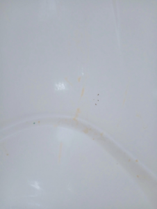 A dirty white bathtub surface with visible grime and stains, ready for cleaning by Peachy Clean Solutions in Saco, ME.