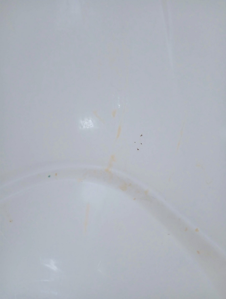 A dirty white bathtub surface with visible grime and stains, ready for cleaning by Peachy Clean Solutions in Saco, ME.