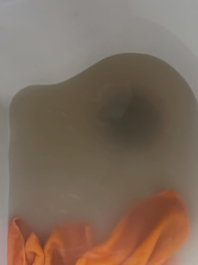 Murky water in a bathtub with an orange cleaning cloth, showing dirt removed during a deep clean by BLACK PEARL Cleaning CO. in Greenwood, MO.