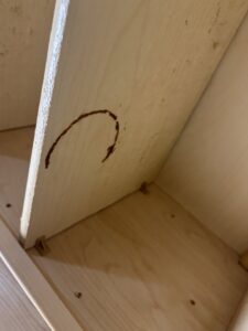 The interior of a kitchen cabinet with a noticeable stain and dirt, ready for cleaning by A+ Residential Cleaning Services in Champaign, IL.