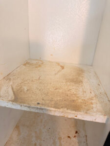 A dirty cabinet shelf, illustrating a before-cleaning scenario for Bee-Dazzled Cleaning Service in Long Beach, CA.
