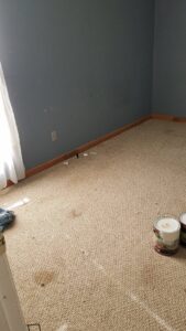 A dirty carpet in a room, showing the need for professional cleaning from Pile's Carpet Care & Restoration Service in Elizabethtown, KY.