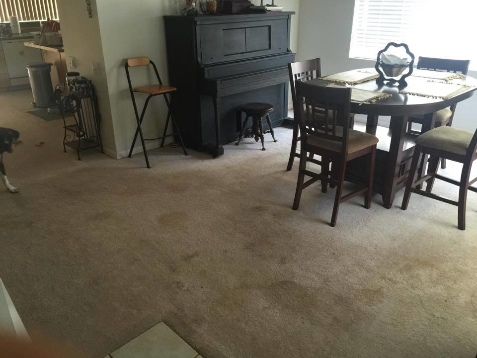 A dirty carpet with visible stains in a living room before house cleaning by Rife's Services in Mechanicsburg, OH