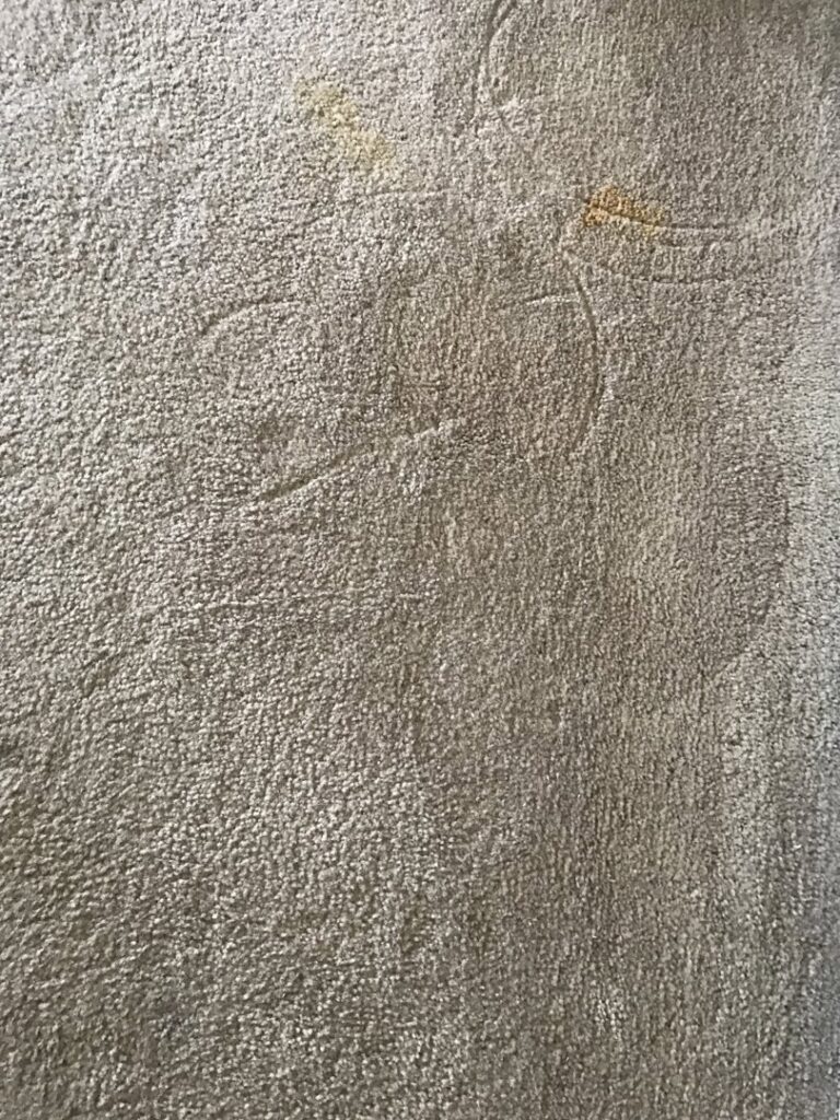 A close-up of a dirty carpet with visible stains, indicating a need for professional cleaning by West & Co Cleaning Services in Laurel, MD