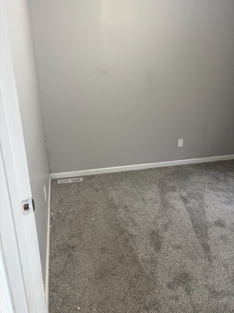 A dirty carpeted room with visible dust and debris before cleaning by Tri-State Clean Queen in Elsmere, KY.