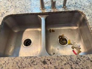 A dirty double kitchen sink with food debris, showing an area needing professional cleaning by New Image Cleaning Service LLC in Richmond, VA.