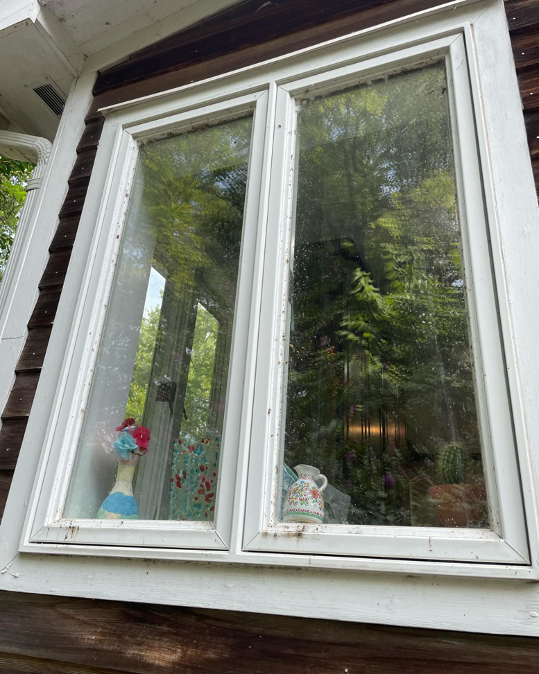 A dirty exterior house window showing grime and streaks, ready for cleaning by Procleanersofdmv in Rockville, MD.