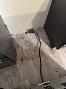 A very dirty floor area behind a kitchen appliance before deep cleaning by Grant Cleaning in Missoula, MT.