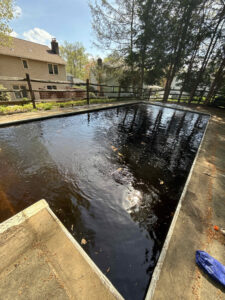 A very dirty, dark green and black pool before cleaning, showing the need for service from Chlorine Clean Pool Services in Wilmington, DE.