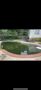 A very dirty, green pool before cleaning, highlighting the need for service from Chlorine Clean Pool Services in Wilmington, DE.