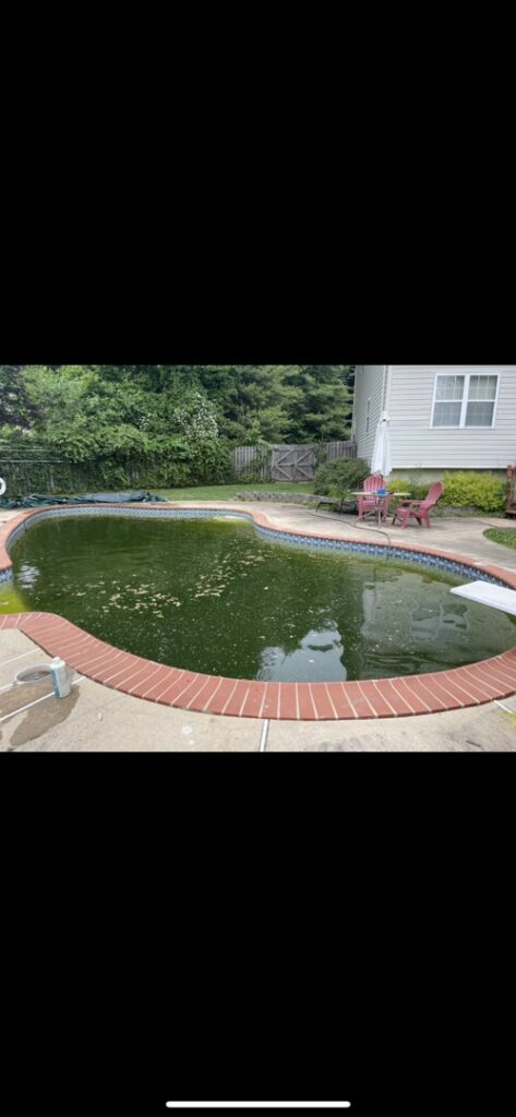 A very dirty, green pool before cleaning, highlighting the need for service from Chlorine Clean Pool Services in Wilmington, DE.
