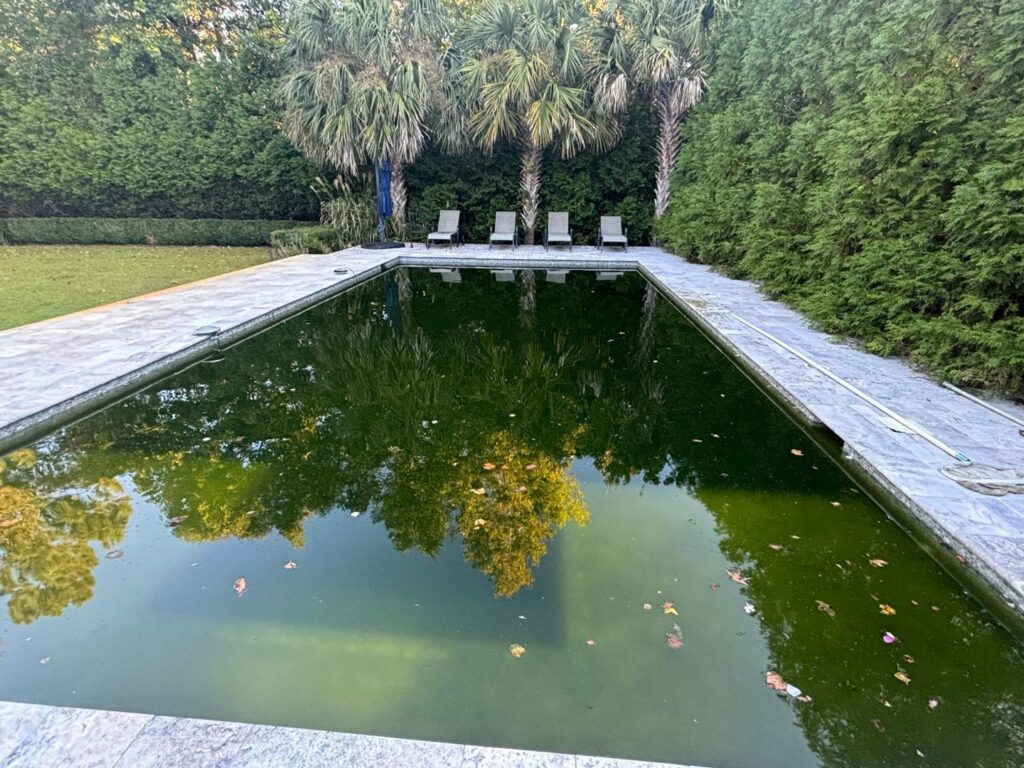 A very dirty, green swimming pool with leaves, awaiting cleaning by Pool Services of Wilmington in Wilmington, NC.