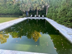 A very dirty, green swimming pool with leaves, awaiting cleaning by Pool Services of Wilmington in Wilmington, NC.