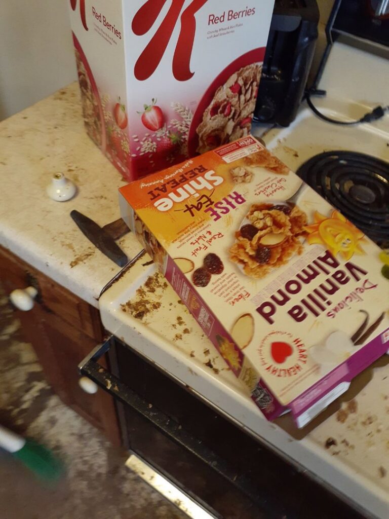 A dirty kitchen counter with food debris and cereal boxes, indicating a need for cleaning by L & G Cleaning Service in Aurora, CO.