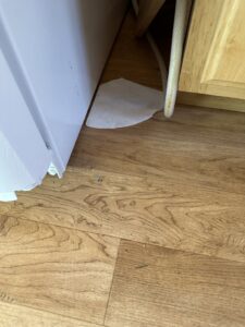 A close-up of a dirty kitchen floor area next to a refrigerator, showing debris that Blubyrd Cleaning Service in Boise, ID can clean.