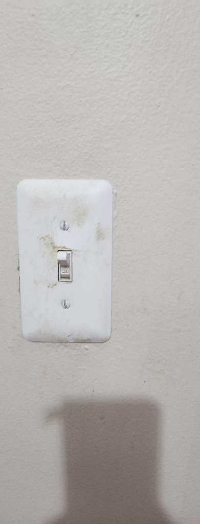 A dirty light switch plate with smudges and grime before cleaning by Creativity Cleaning LLC in Detroit, MI.