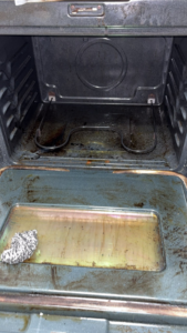 A very dirty oven interior with a scrubbing pad, showing a before-cleaning state by Down And Dirty Cleaning in Clayton, NC.