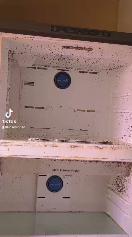 A very dirty refrigerator interior, showing the need for deep cleaning services from Rivas Molina's Cleaning LLC in Dundalk, MD.