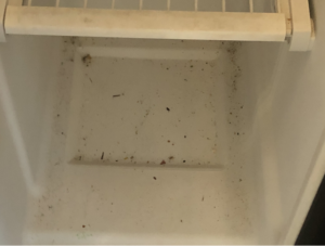 A dirty refrigerator drawer needing cleaning by G & S Cleaning Services in Somerville, NJ.