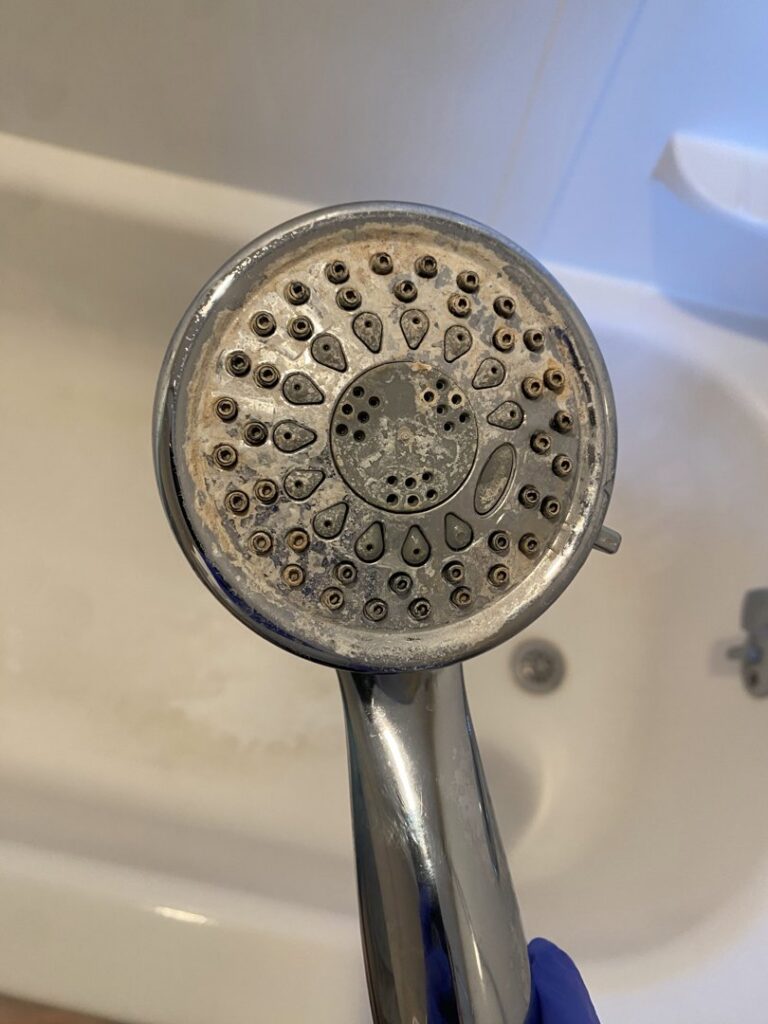 A dirty shower head covered in mineral deposits before professional cleaning by Cuse Cleaning in Syracuse, NY.
