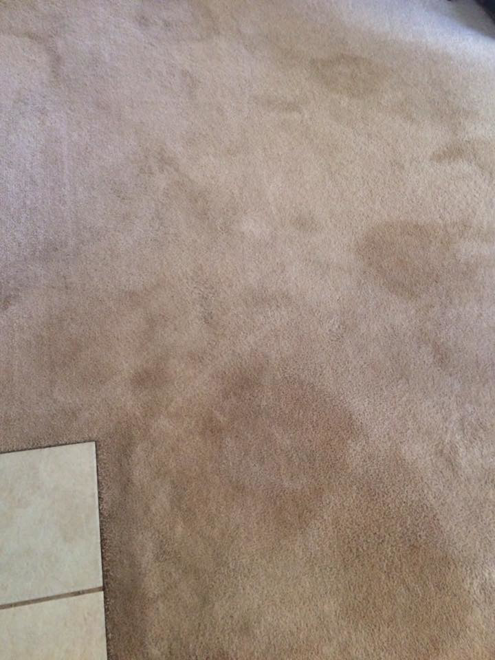 A close-up view of a dirty, stained carpet before professional cleaning by Rife's Services in Mechanicsburg, OH