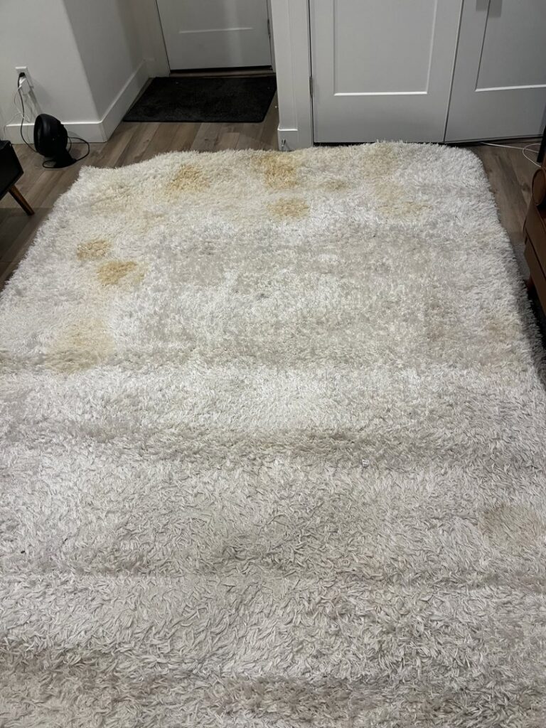 A dirty, stained white shag rug in a home, showing a 'before' state for Speedmaster Pro Cleaning services in Salt Lake City, UT.
