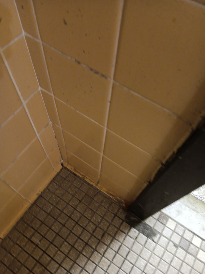 A dirty tiled bathroom wall and floor, highlighting areas for cleaning by Janice Janitorial LLC in Baton Rouge, LA.