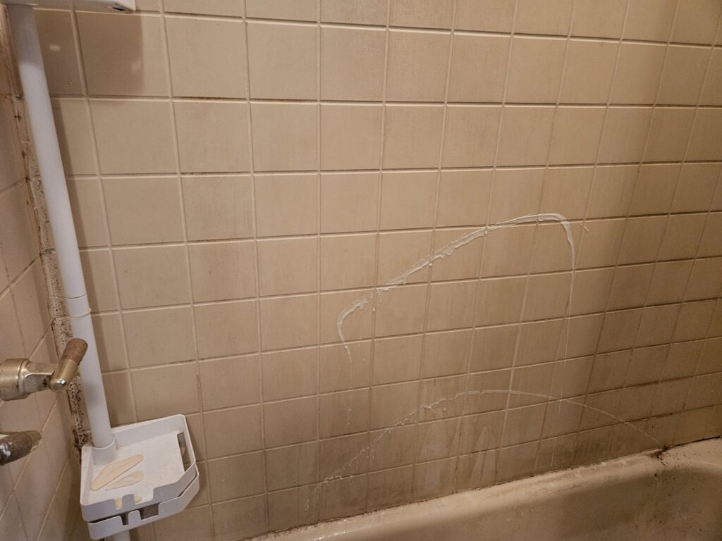 A dirty tiled shower wall showing grime before cleaning by Ady's Housekeeping in Yakima, WA