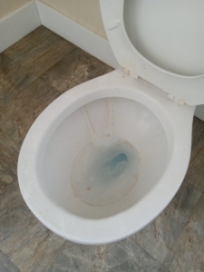 A dirty toilet before cleaning, showing the need for professional house cleaning services from Dacari's Helping Hands LLC in South Bend, IN.