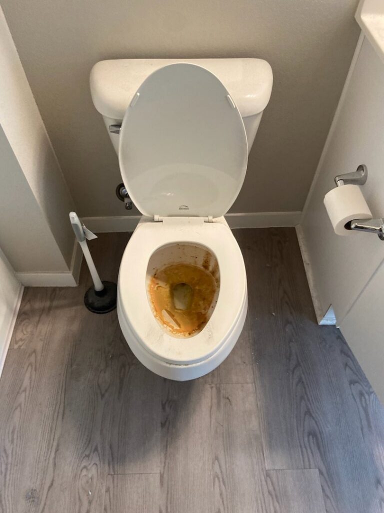 A very dirty toilet before professional cleaning by No Stress Cleaning Services in Virginia Beach, VA