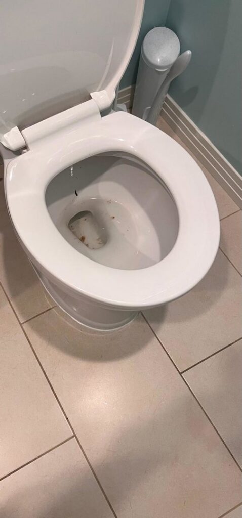 A dirty toilet bowl, representing a 'before' image for professional cleaning services by Nichelle's touch housekeeping LLC in Detroit, MI.