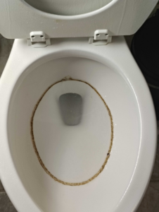 A dirty toilet bowl with a prominent brown ring, showing a before-cleaning state by Veter Clean in Gilbert, AZ.