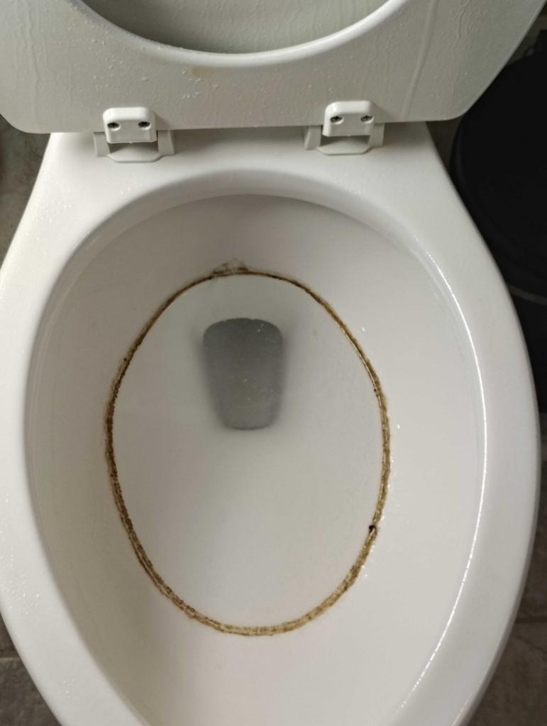 A dirty toilet bowl with a prominent brown ring, showing a before-cleaning state by Veter Clean in Gilbert, AZ.