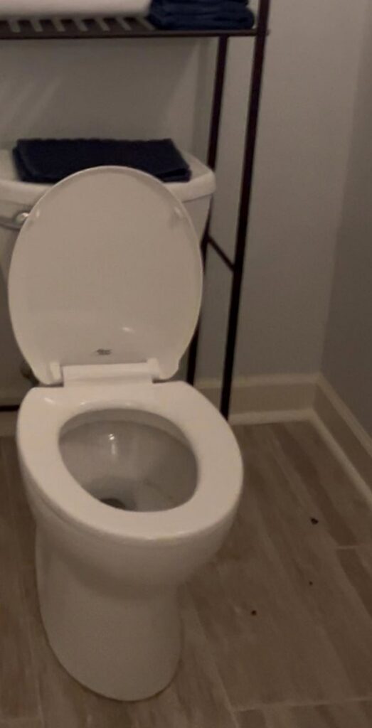 A dirty toilet bowl, serving as a 'before' image for the comprehensive cleaning services offered by Nichelle's touch housekeeping LLC in Detroit, MI.
