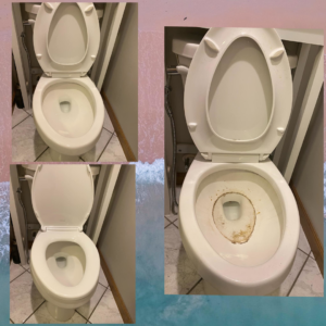 Before and after showing a dirty toilet transformed into a sparkling clean one by Alissa's Cleaning Service L.L.C in Indianapolis, IN.