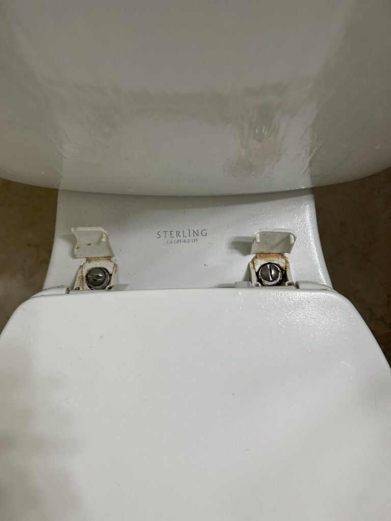 A close-up of a dirty toilet seat hinge, showing an area needing deep cleaning by JG Clean Solutions in Henderson, NV.
