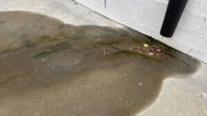 Dirty water runoff with algae and grime being washed away from a concrete surface by Plains Power Washing in Auburn, AL.