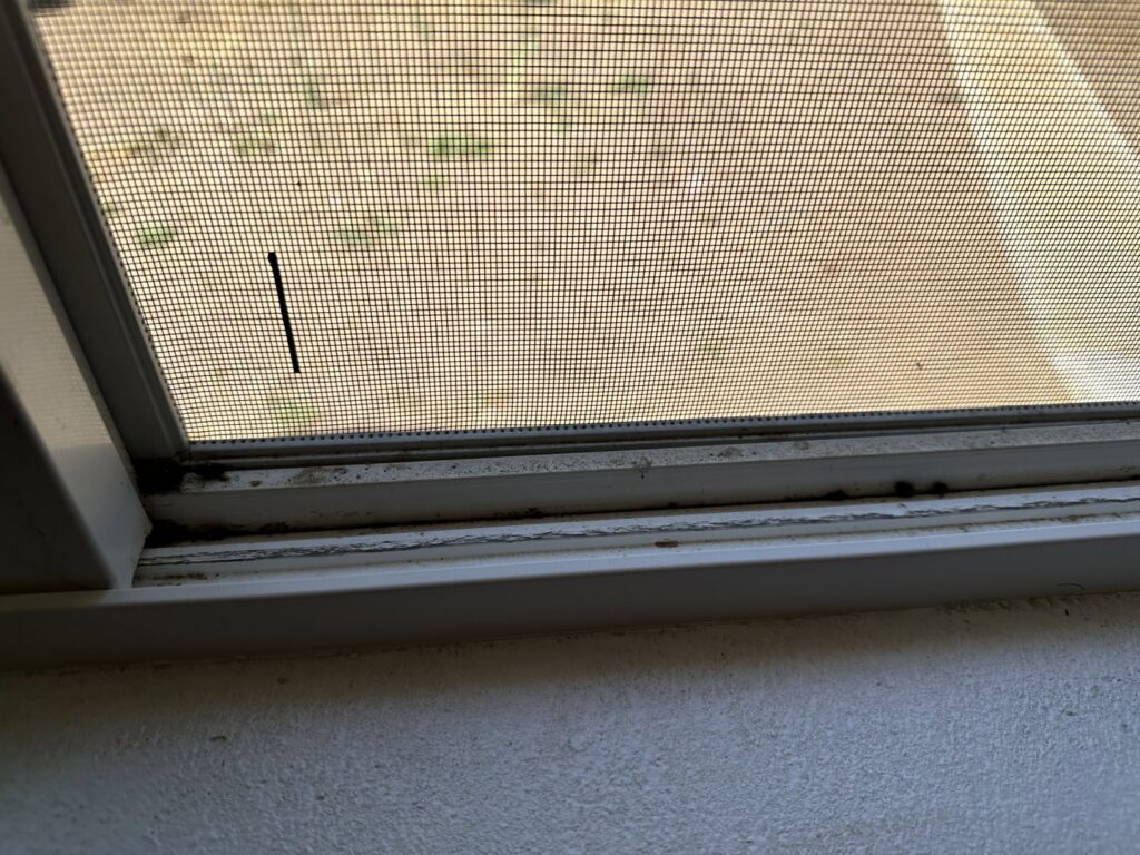 A close-up of a dirty window sill with dust and debris, showing an area ready for cleaning by Blubyrd Cleaning Service in Boise, ID.
