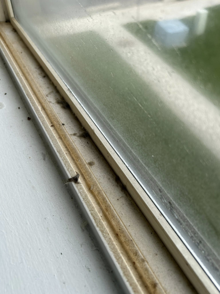 A dirty window sill with grime and debris, awaiting cleaning by E & S Cleaning Services L.L.C in Nampa, ID.