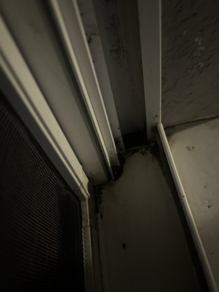 A close-up of a dirty window track filled with debris, showing an area ready for cleaning by A+ Residential Cleaning Services in Champaign, IL.