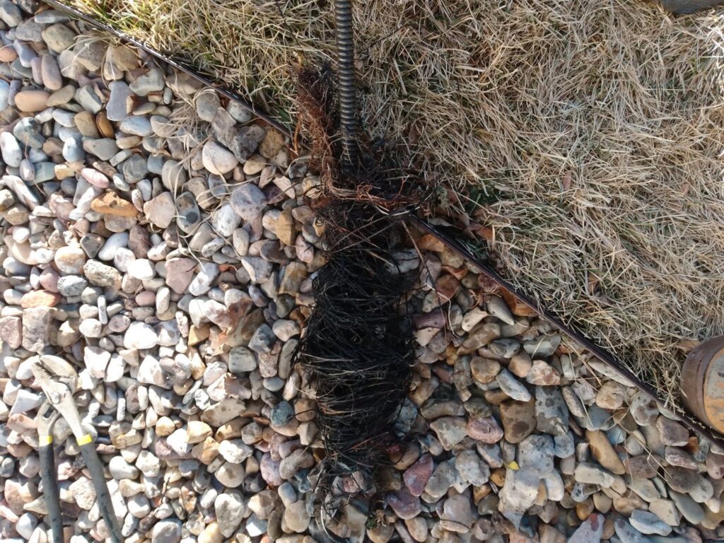 A large clog of roots and debris removed from a drain, lying on the ground by Central Wyoming Drain Service in Casper, WY.